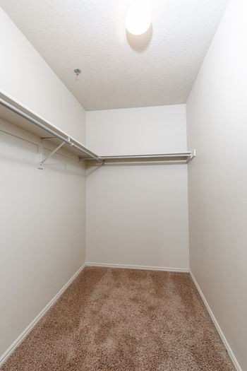 A white closet with a carpeted floor and a white ceiling.